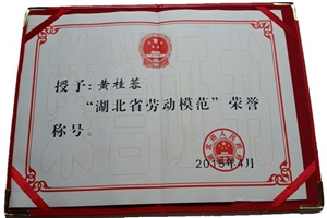 华工高理汽车电子事业部总经理黄桂蓉获评省劳动模范